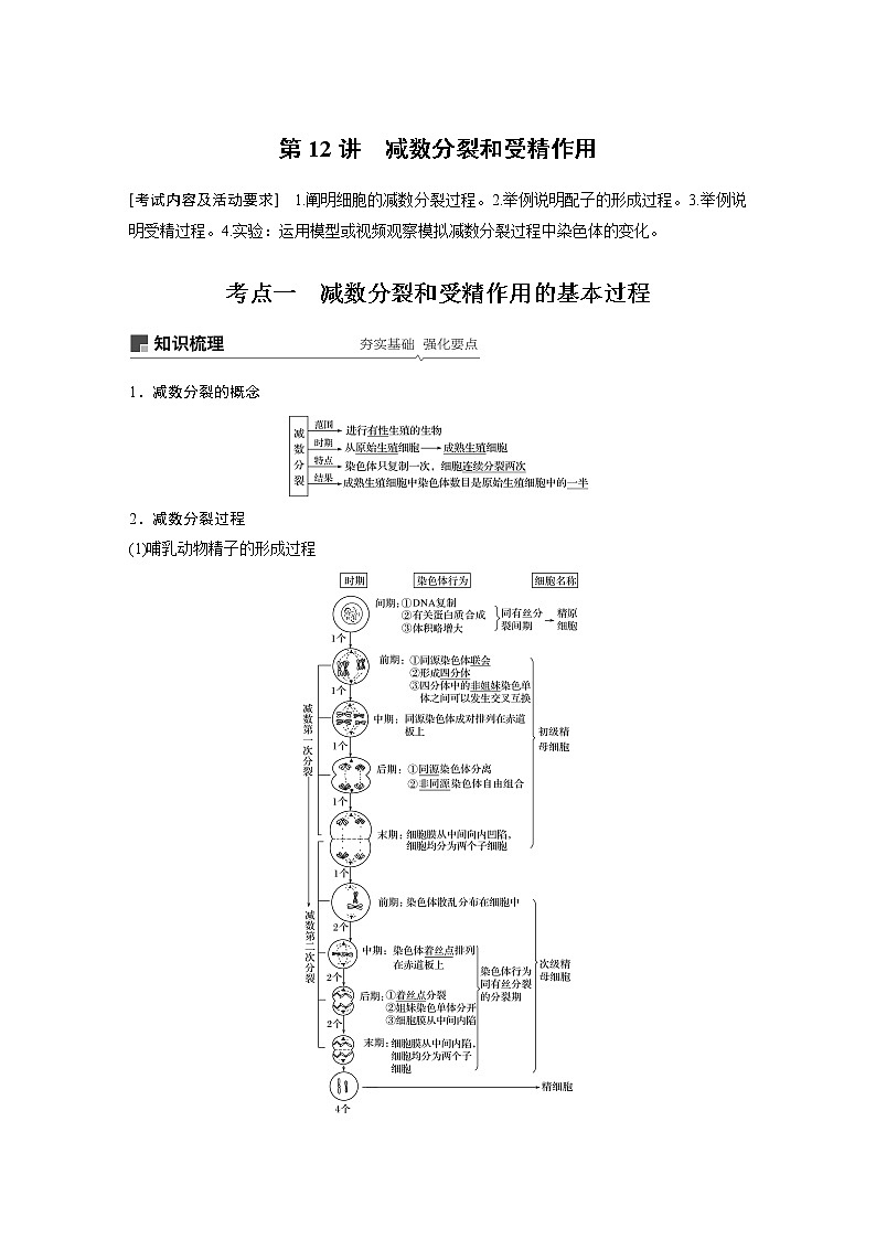 高考生物专题复习第12讲　减数分裂和受精作用第1页