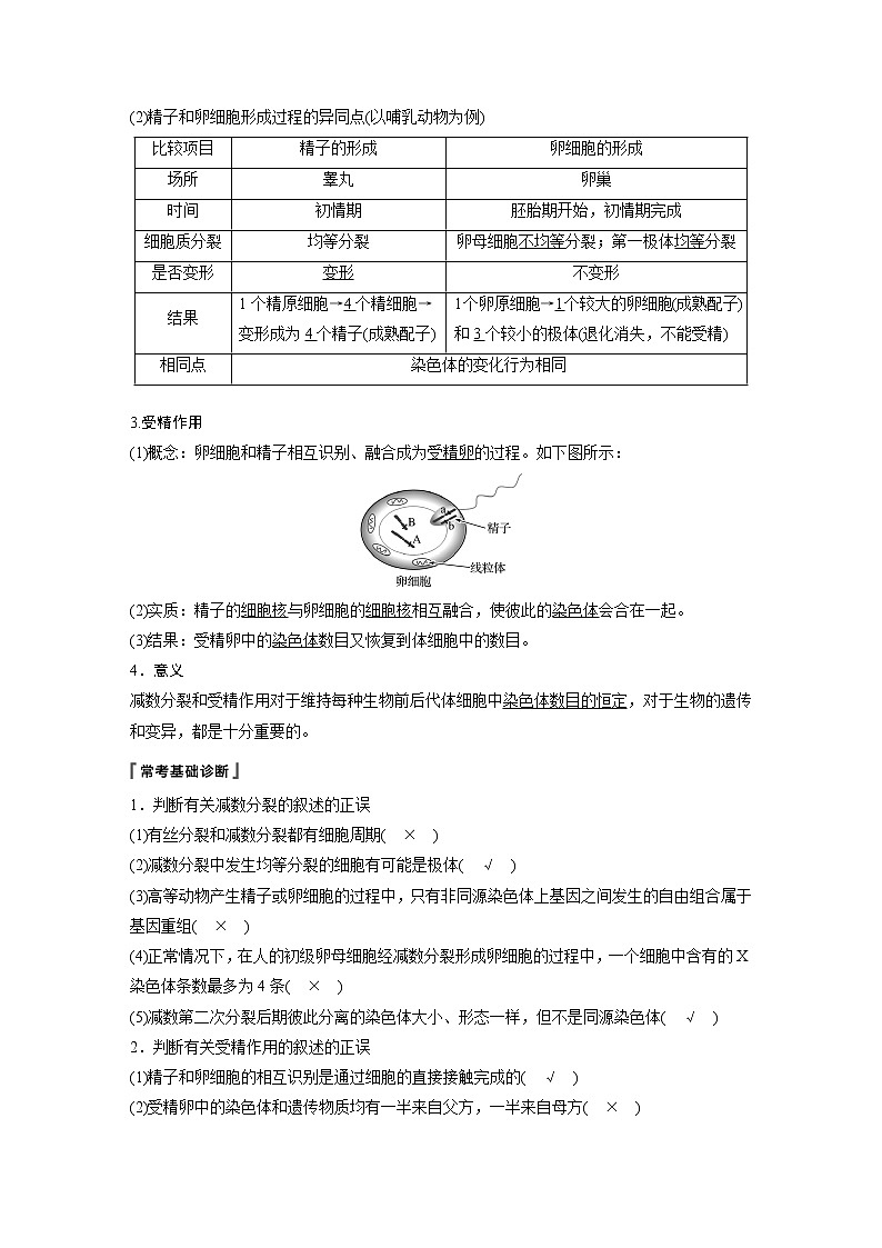 高考生物专题复习第12讲　减数分裂和受精作用第2页