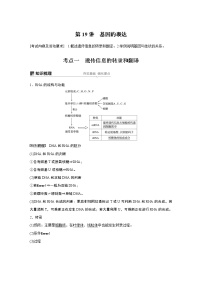高考生物专题复习第19讲　基因的表达
