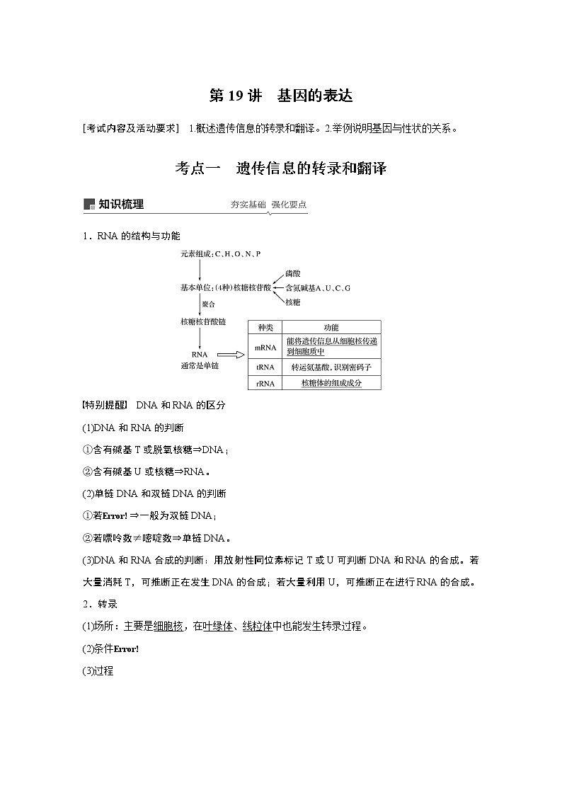 高考生物专题复习第19讲　基因的表达01