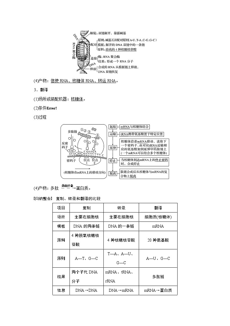 高考生物专题复习第19讲　基因的表达02