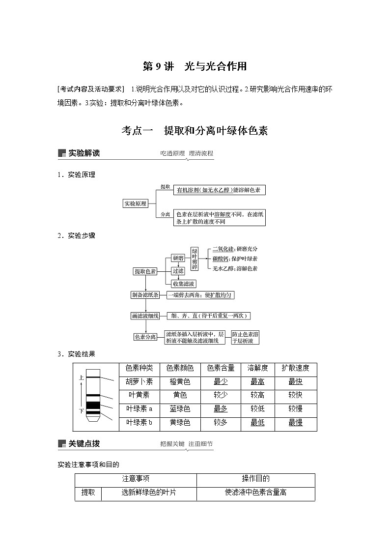 高考生物专题复习第9讲　光与光合作用01