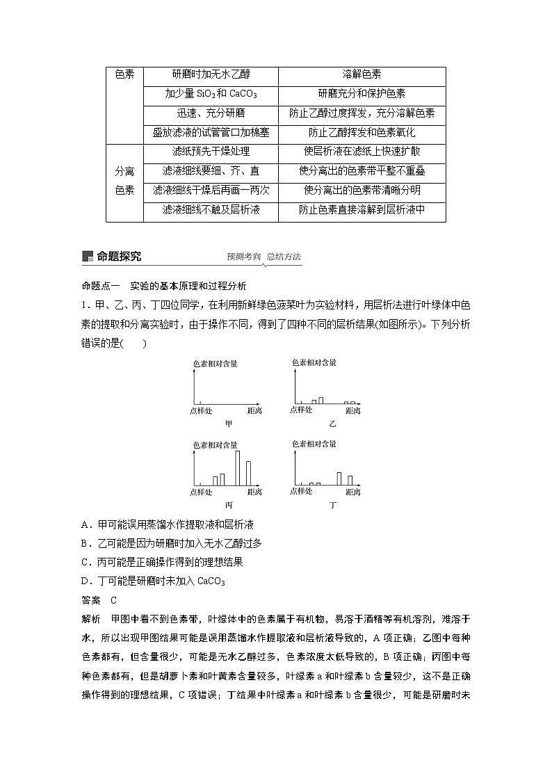 高考生物专题复习第9讲　光与光合作用02