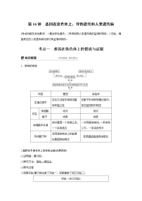 高考生物专题复习第16讲　基因在染色体上、伴性遗传和人类遗传病