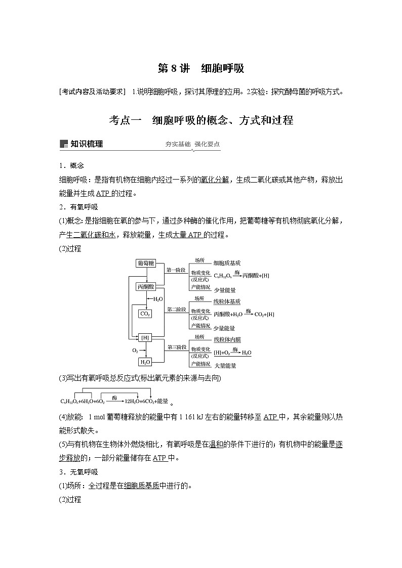 高考生物专题复习第8讲　细胞呼吸01