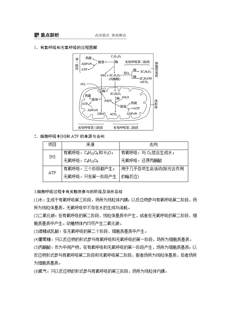 高考生物专题复习第8讲　细胞呼吸03