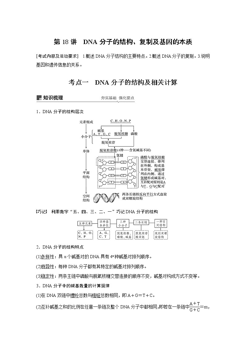 高考生物专题复习第18讲　DNA分子的结构、复制及基因的本质01