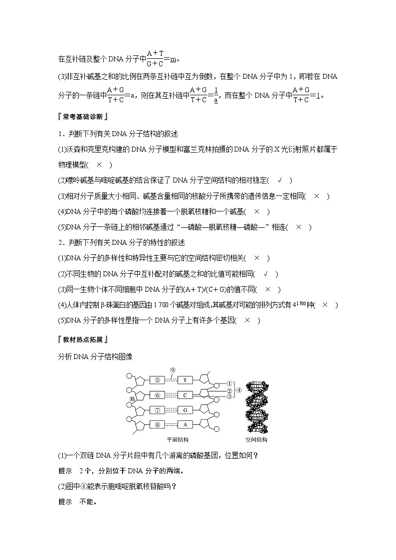 高考生物专题复习第18讲　DNA分子的结构、复制及基因的本质02