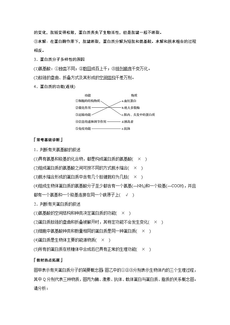 高考生物专题复习第2讲　蛋白质和核酸02