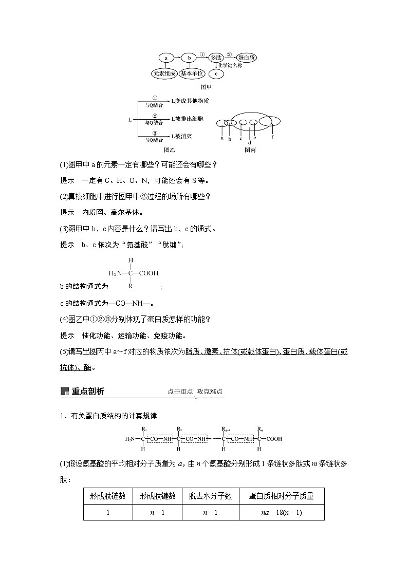 高考生物专题复习第2讲　蛋白质和核酸03