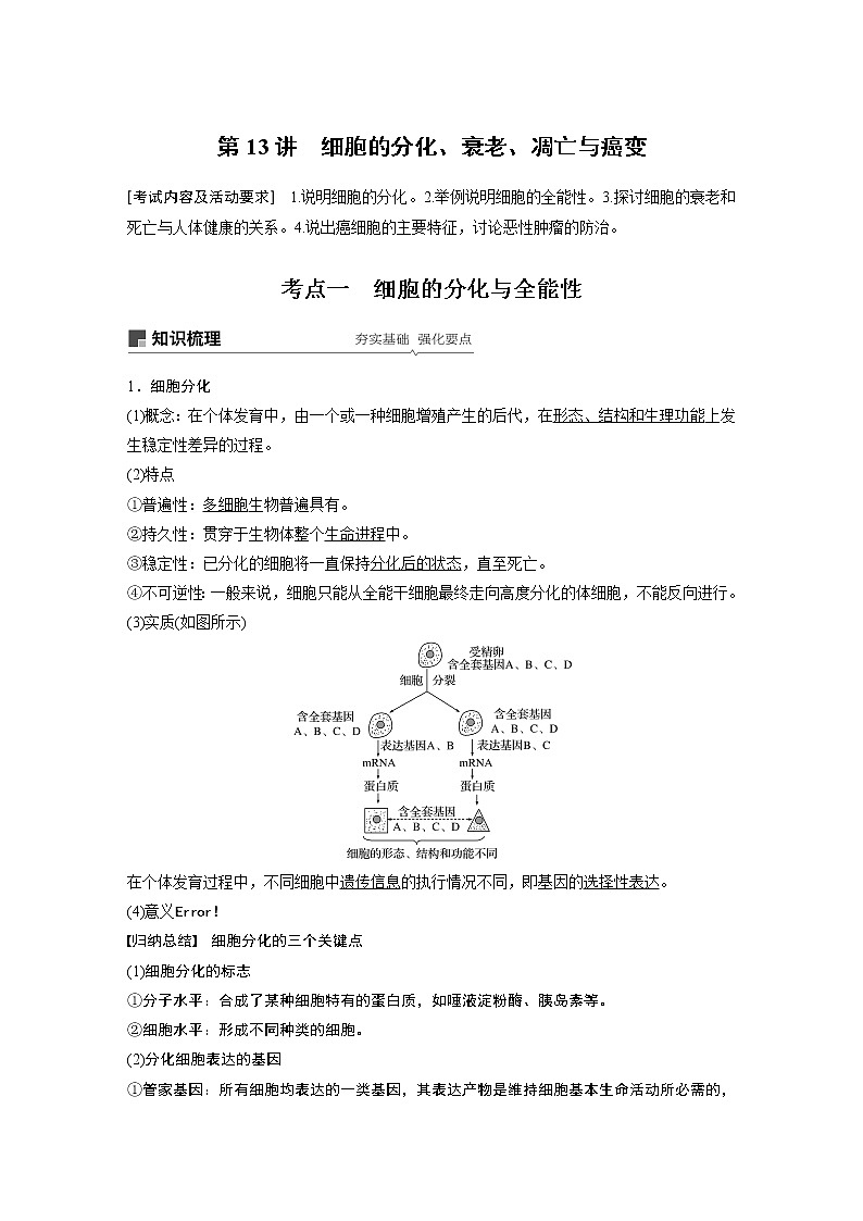 高考生物专题复习第13讲　细胞的分化、衰老、凋亡与癌变01
