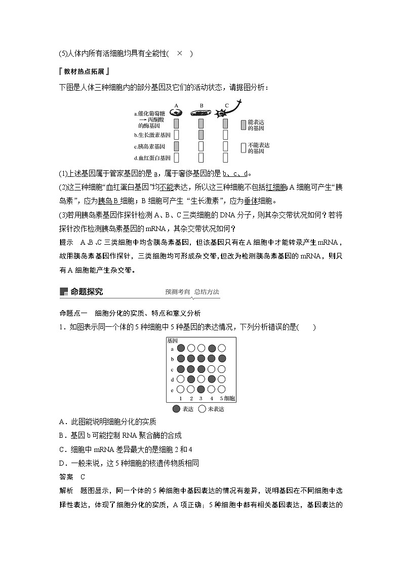 高考生物专题复习第13讲　细胞的分化、衰老、凋亡与癌变03