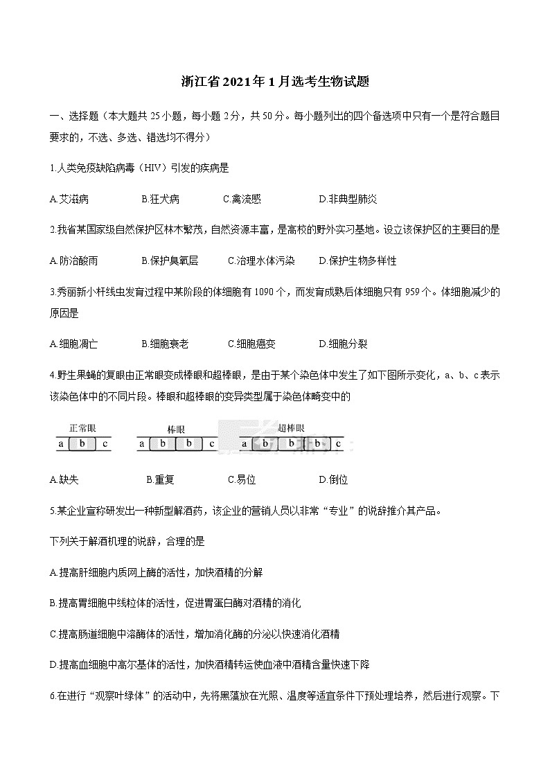 2021年1月浙江省普选考生物卷+答案 (原卷+解析卷)01