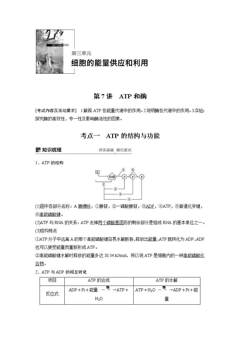 2021年高考生物复习题第三单元 第7讲01