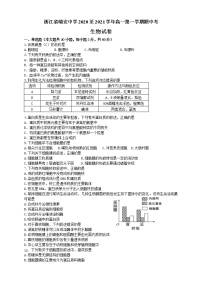 浙江省瑞安中学2020-2021学年高一上学期期中考试生物试题+Word版含答案