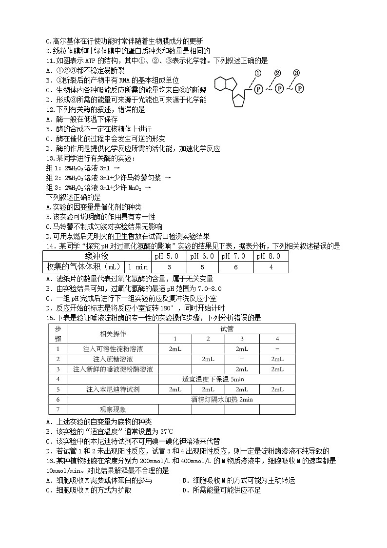 浙江省瑞安中学2020-2021学年高一上学期期中考试生物试题+Word版含答案02