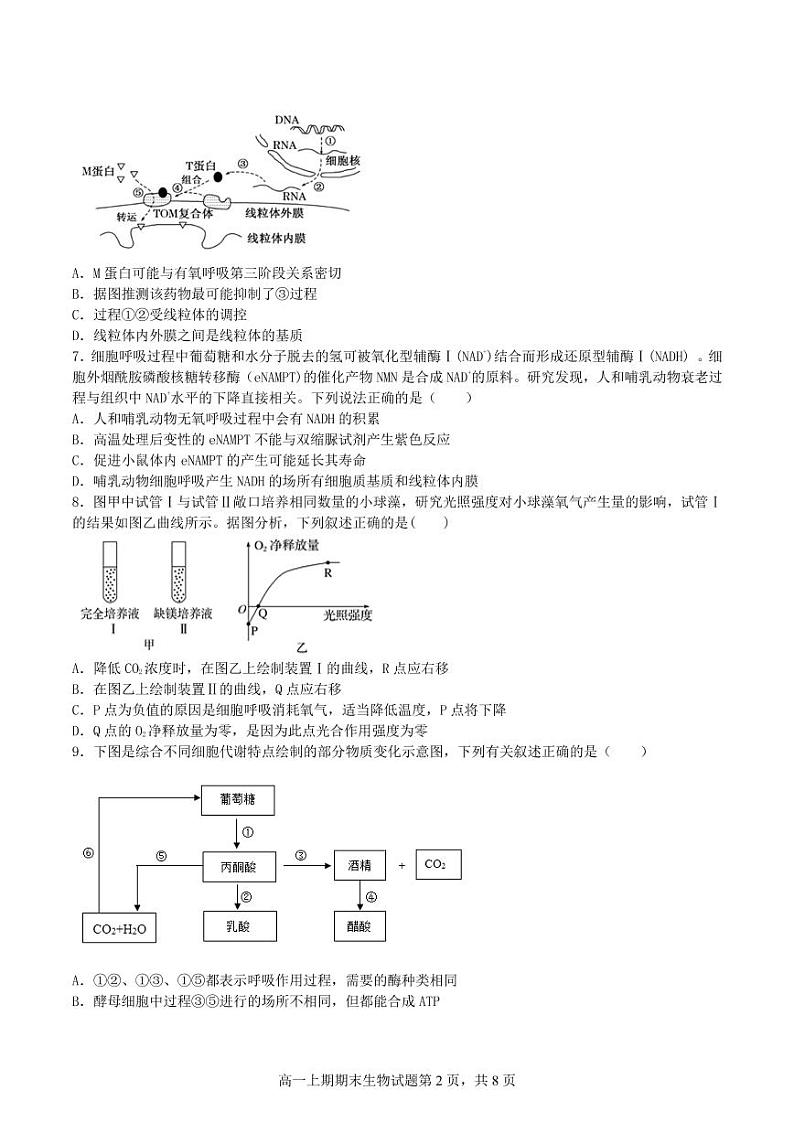 湖南省衡阳市第八中学2020-2021学年高一上学期期末考试+生物+PDF版含答案第2页