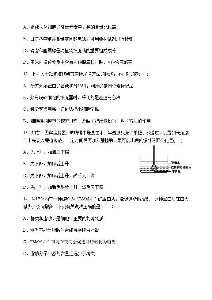 2020-2021学年广东省汕头市金山中学高一上学期期末考试生物（Word版含答案）03