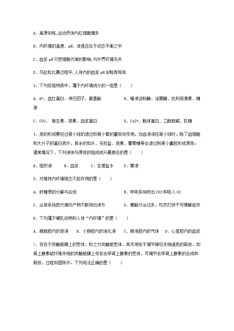 黑龙江省大庆中学2020—2021学年高二上学期期末考试生物试题+Word版含答案02