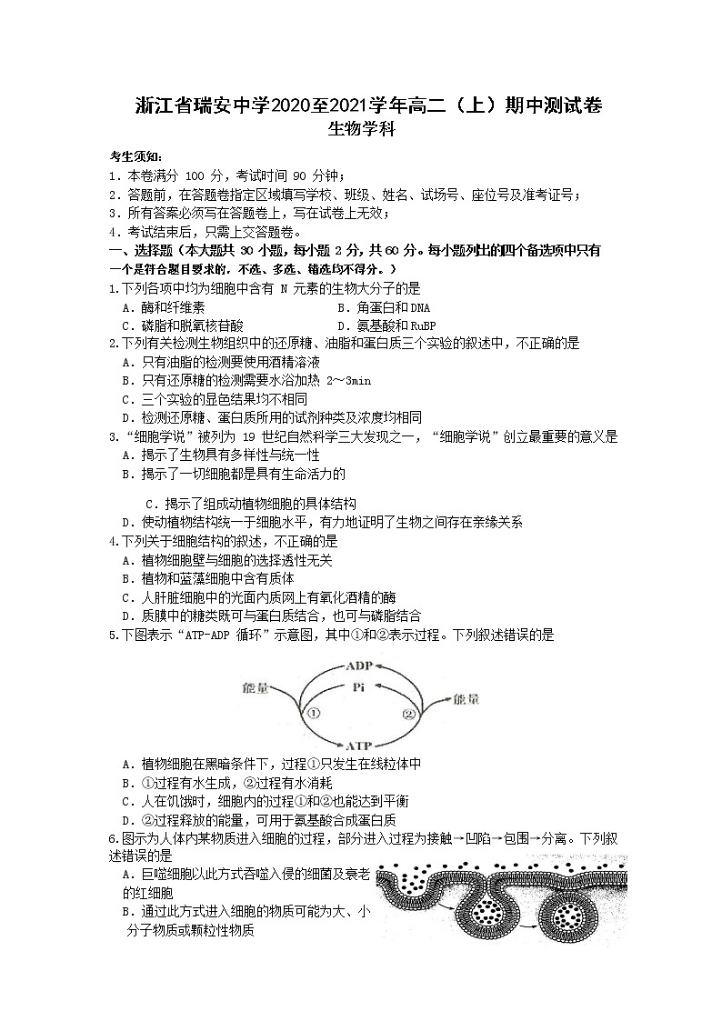 浙江省瑞安中学2020-2021学年高二上学期期中测试生物试题（选考）+Word版含答案01
