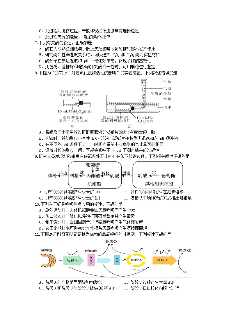 浙江省瑞安中学2020-2021学年高二上学期期中测试生物试题（选考）+Word版含答案02
