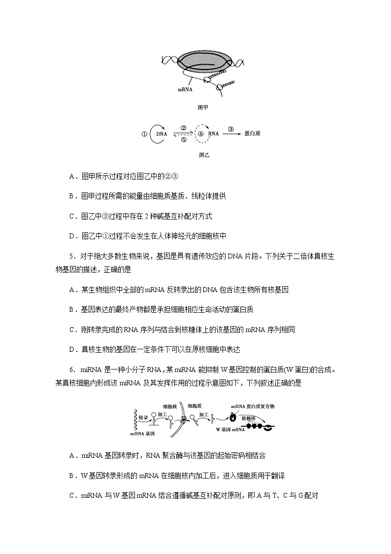 安徽省阜阳市临泉县第一中学2020-2021学年高二上学期期末考试生物试题+Word版含答案02