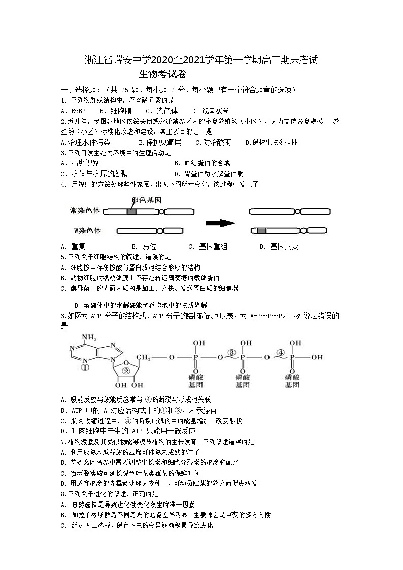 浙江省瑞安中学2020-2021学年高二上学期期末考试生物试题+Word版含答案01
