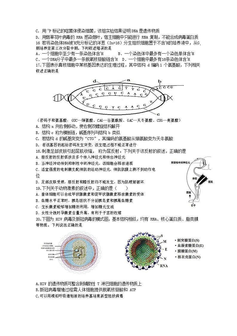浙江省瑞安中学2020-2021学年高二上学期期末考试生物试题+Word版含答案03
