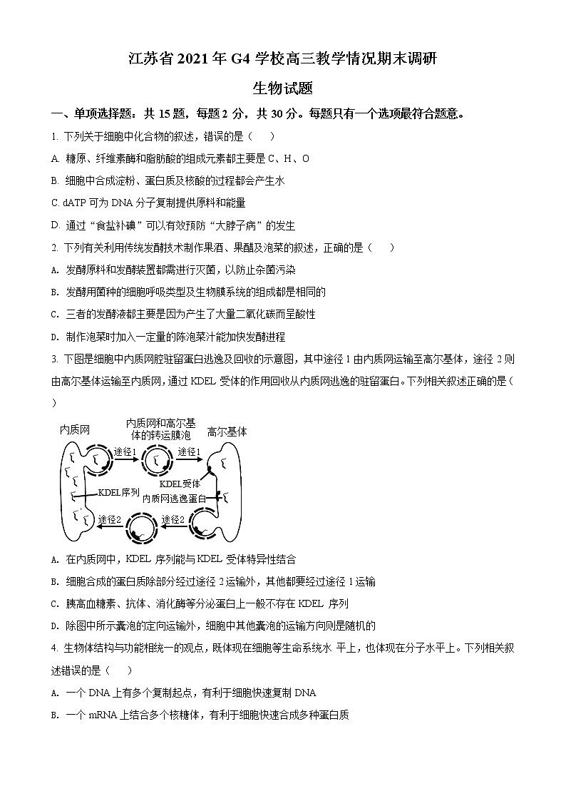 2021年江苏省G4（苏州中学、盐城中学、扬州中学、常州中学）高三上学期生物期末调研试题含解析01