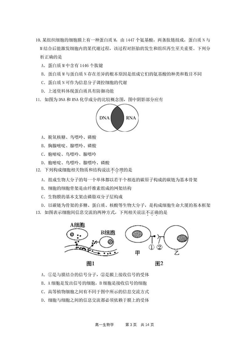 广东实验中学2020-2021学年高一上学期期末考试+生物+PDF版含答案03