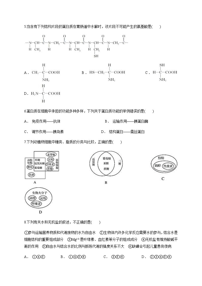 新疆乌鲁木齐市第二十中学2020-2021学年高一上学期段考（期中）生物试题+答案02