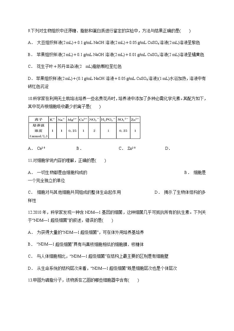 新疆乌鲁木齐市第二十中学2020-2021学年高一上学期段考（期中）生物试题+答案03