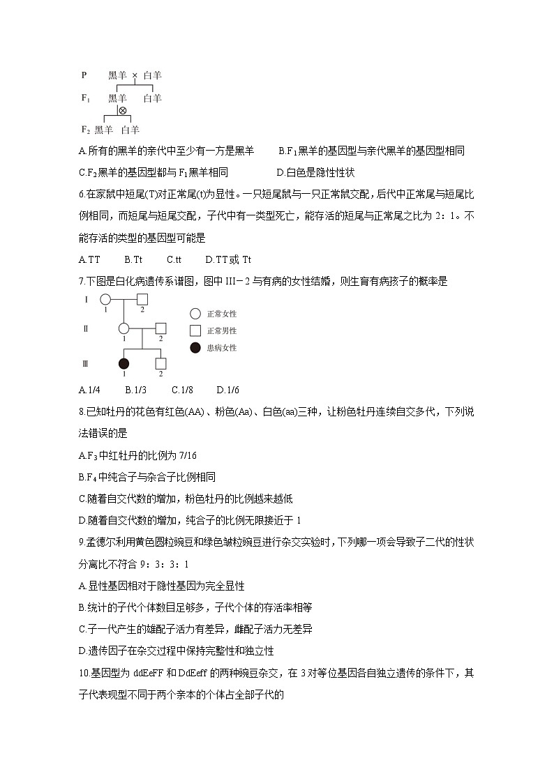 吉林省长春市农安县2020-2021学年高一下学期“五育融合”知识竞赛试题+生物+答案02