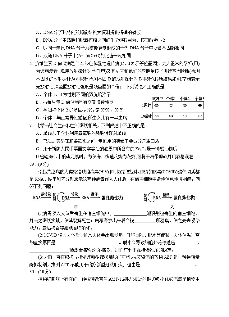 宁夏银川一中2021届高三下学期第四次模拟考试理综-生物试题+答案02