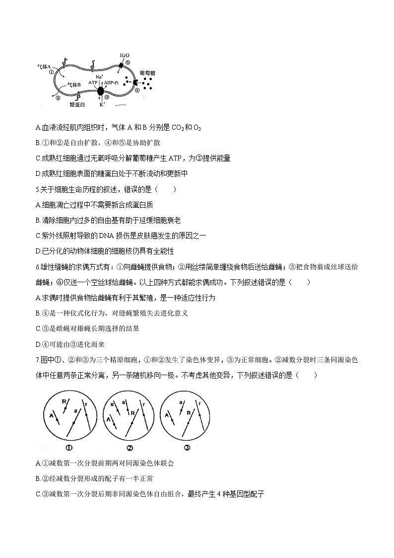 2021年全国高考新高考河北卷：生物高考真题（Word版+无答案）02