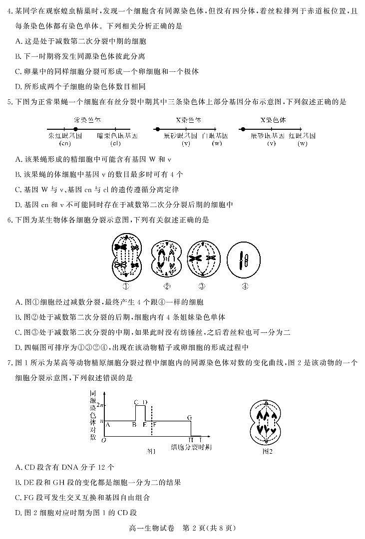 2020-2021学年湖北省重点中学高一下学期5月联考生物试卷 PDF版02