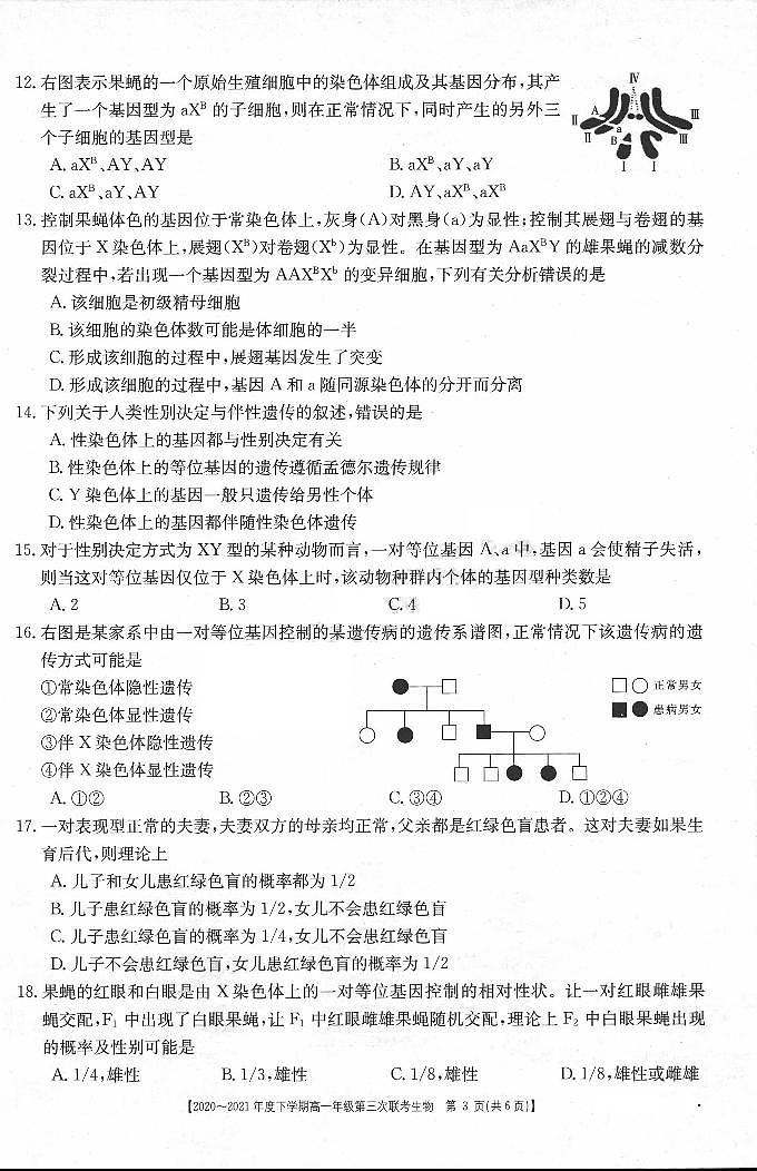 2020-2021学年河南省高一下学期第三次联考（6月）生物试题 PDF版03