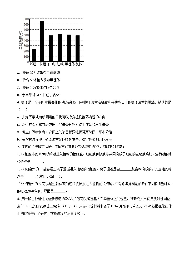 2021年高考全国甲卷生物高考真题及答案解析 (原卷+解析卷)02