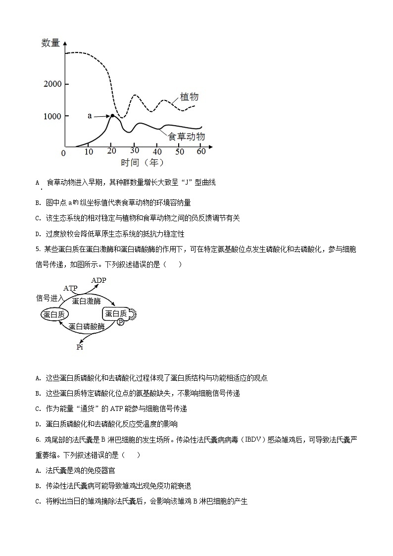 2021年新高考湖南生物高考真题及答案解析 (原卷+解析卷)02