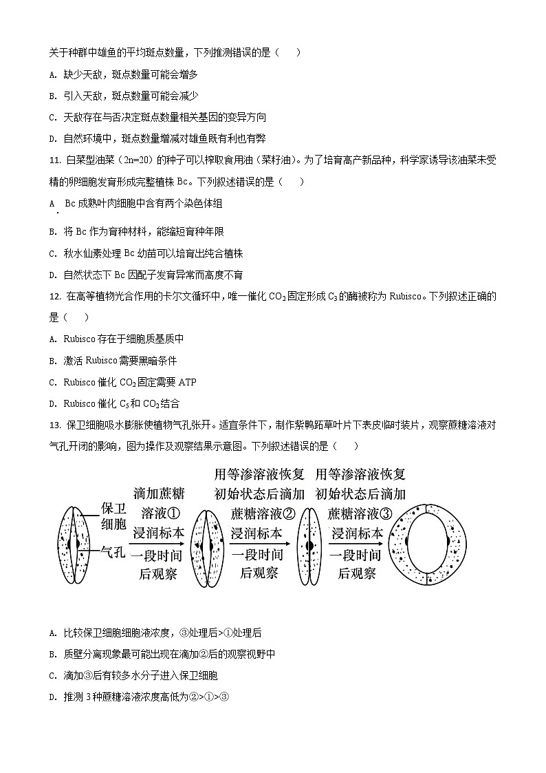 2021年新高考广东生物高考真题及答案解析 (原卷+解析卷)03