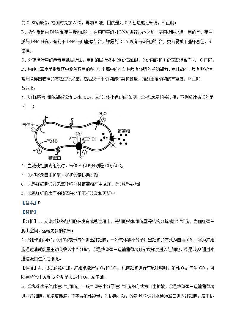 2021年新高考河北生物高考真题及答案解析 (原卷+解析卷)03