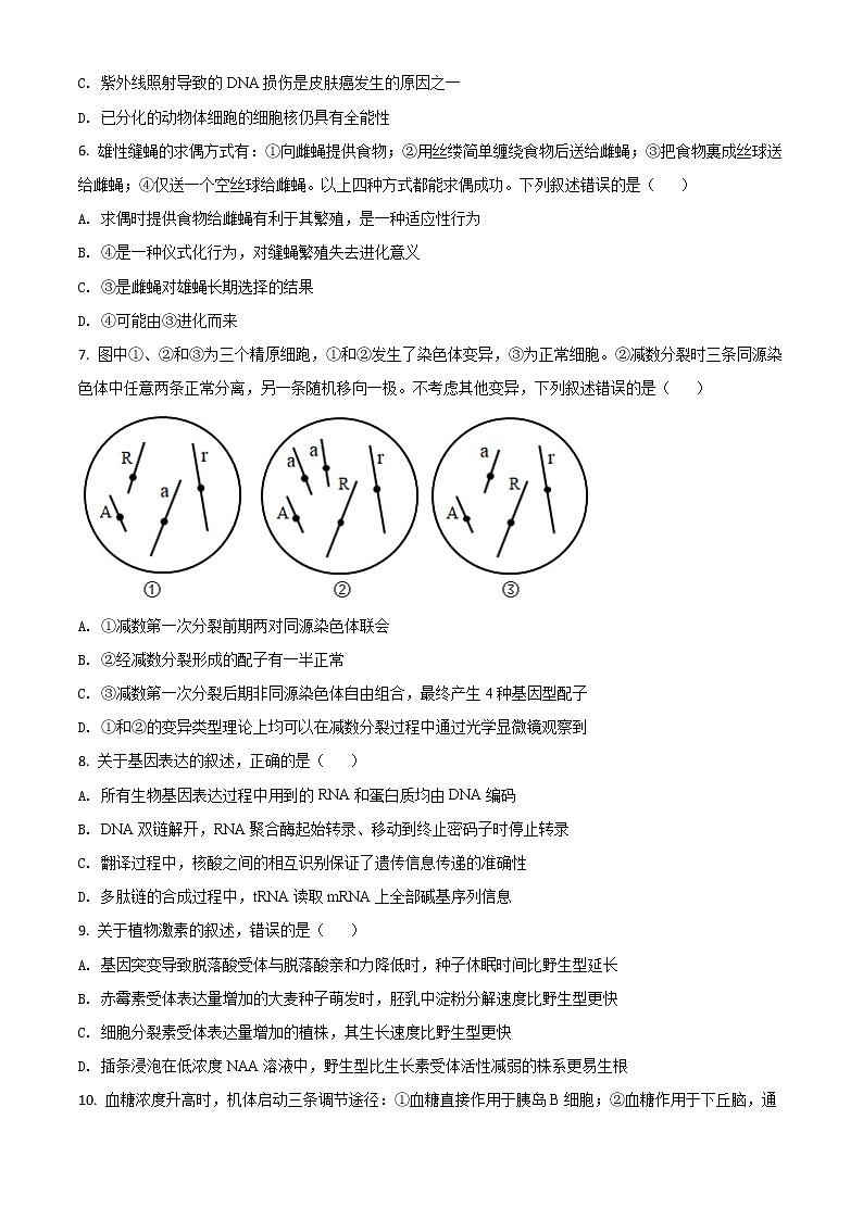 2021年新高考河北生物高考真题及答案解析 (原卷+解析卷)02