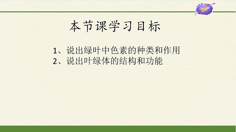 高中生物人教版 (新课标) 必修1课件  5.4 能量之源—光与光合作用（第一课时）03