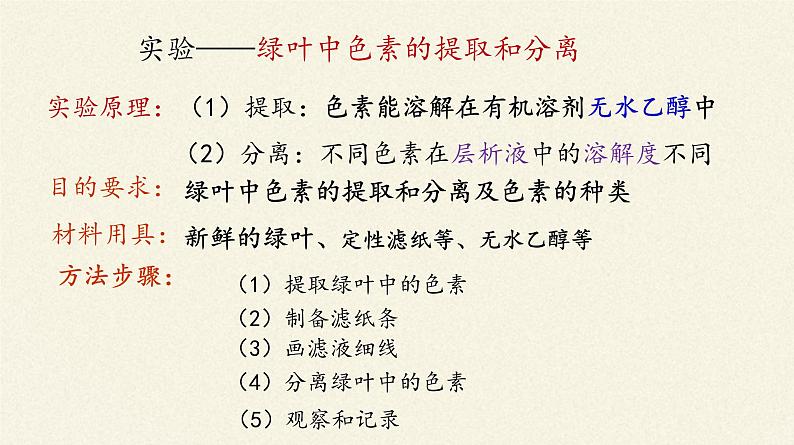 高中生物人教版 (新课标) 必修1课件  5.4 能量之源—光与光合作用（第一课时）05