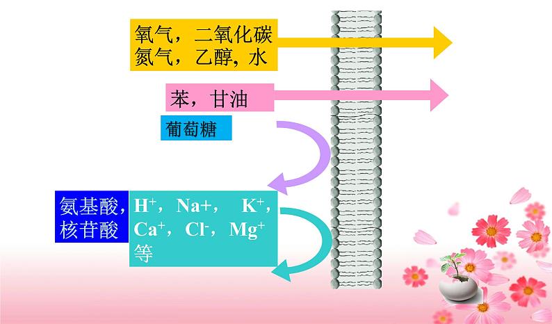 高中生物人教版 (新课标) 必修1课件  4.3 物质跨膜运输的方式03