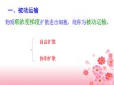 高中生物人教版 (新课标) 必修1课件  4.3 物质跨膜运输的方式