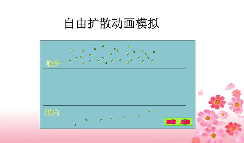 高中生物人教版 (新课标) 必修1课件  4.3 物质跨膜运输的方式06