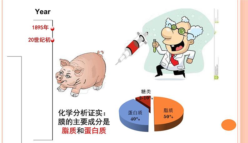 高中生物人教版 (新课标) 必修1课件  4.2 生物膜的流动镶嵌模型04