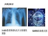 高中生物人教版 (新课标) 必修1课件  1.1从生物圈到细胞