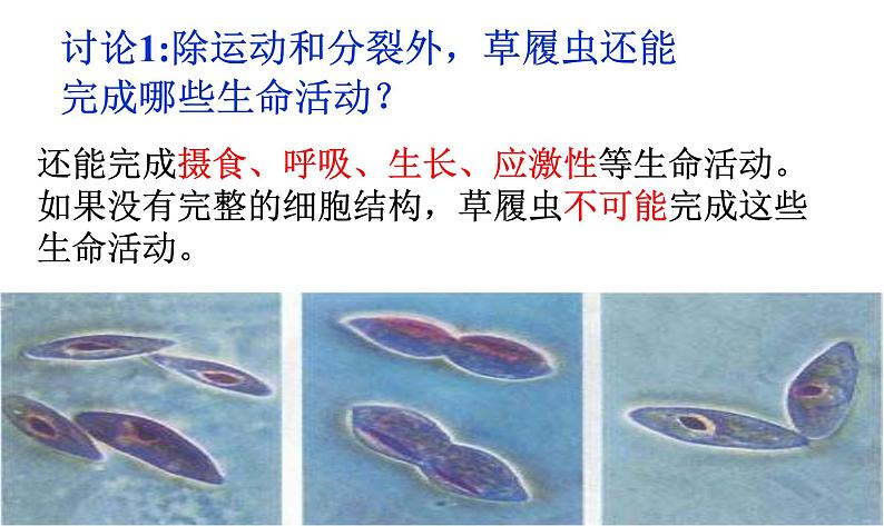 高中生物人教版 (新课标) 必修1课件  1.1从生物圈到细胞07